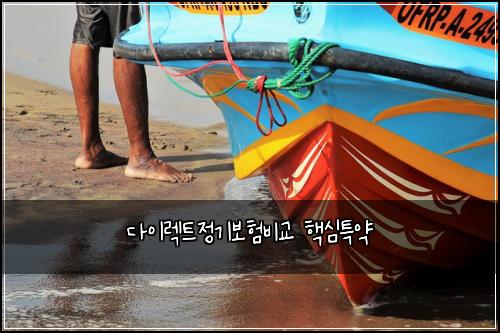 다이렉트정기보험비교 핵심특약