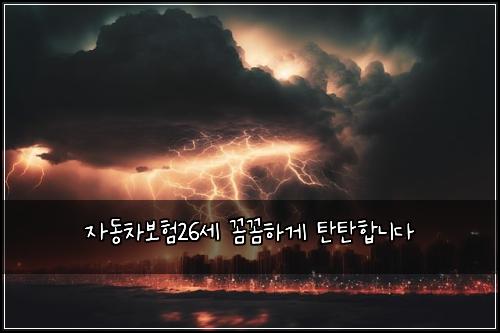 ์๋์ฐจ๋ณดํ26์ธ ๊ผผ๊ผผํ๊ฒ ํํํฉ๋๋ค