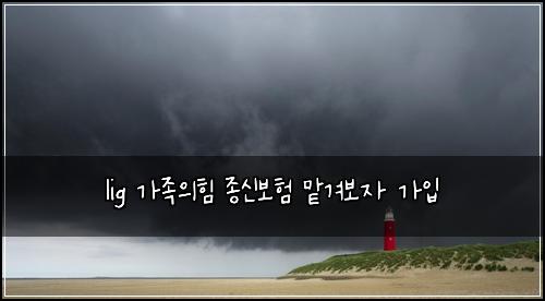 lig 가족의힘 종신보험 맡겨보자  가입