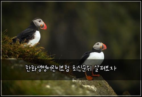 한화생명어린이보험 최신순위  살펴보자