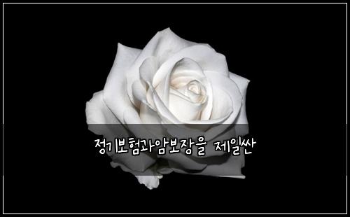 ์ ๊ธฐ๋ณดํ๊ณผ์๋ณด์ฅ์ ์ ์ผ์ผ