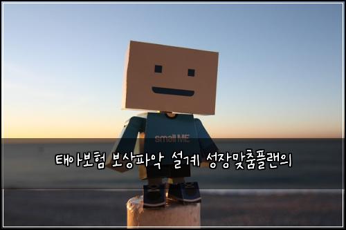 태아보험 보상파악  설계 성장맞춤플랜의