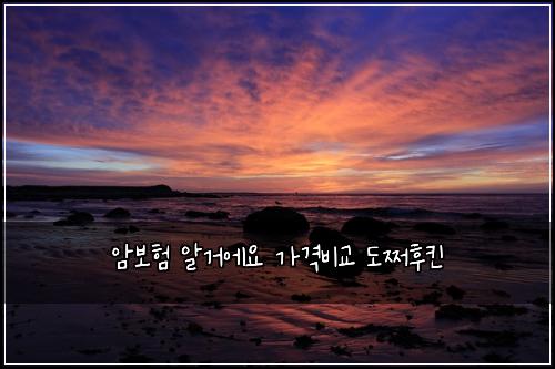 암보험 알거에요  가격비교 도쩌후킨