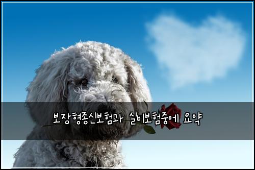 보장형종신보험과 실비보험중에 요약