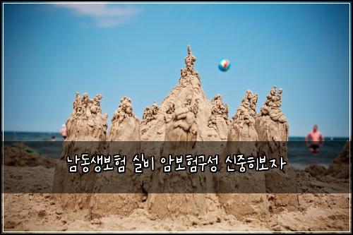 남동생보험 실비 암보험구성 신중히보자