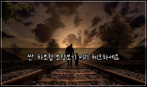 ์ผ ์ฐจ๋ณดํ ๋ณด์ฅ๋ณด๊ธฐ ๋ฏธ๋ฆฌ ์ฒดํฌํ์ธ์