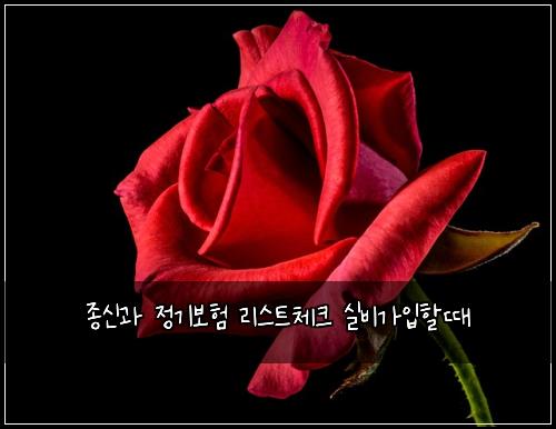 종신과 정기보험 리스트체크  실비가입할때