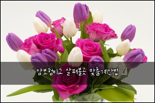 암보험비교 살펴볼곳 맞춤계산법