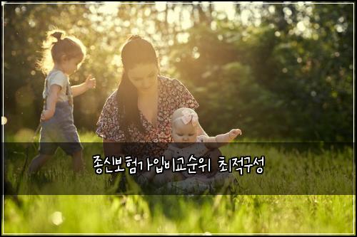 종신보험가입비교순위 최적구성
