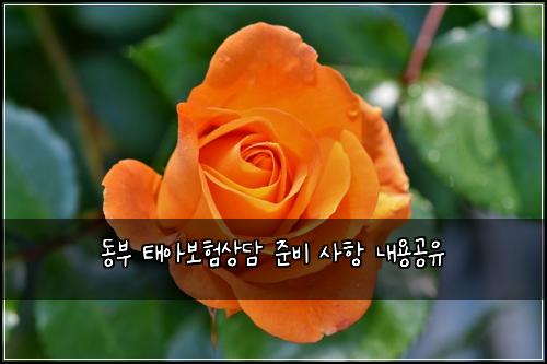 동부 태아보험상담 준비 사항 내용공유