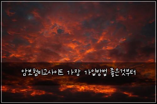 암보험비교사이트 가장 가입방법 좋은것부터