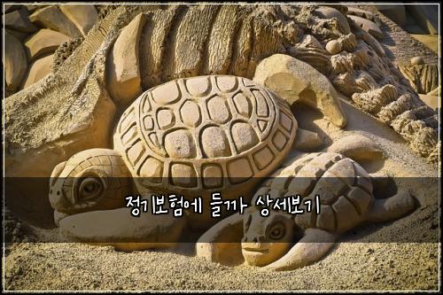 정기보험에 들까 상세보기