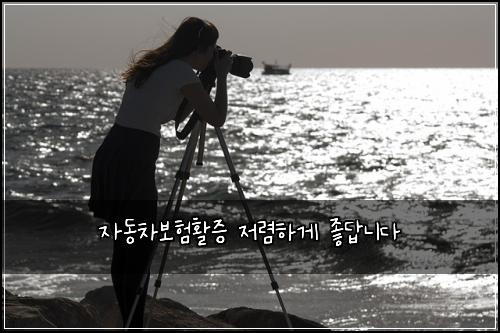 자동차보험활증 저렴하게 좋답니다