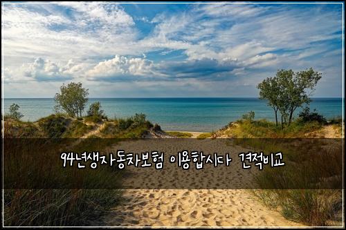 94년생자동차보험 이용합시다  견적비교