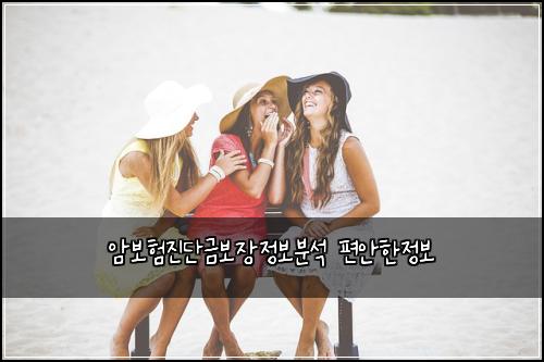 암보험진단금보장정보분석 편안한정보