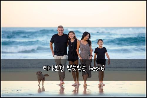 νμ보ν λΏλ―λΏλ― best6