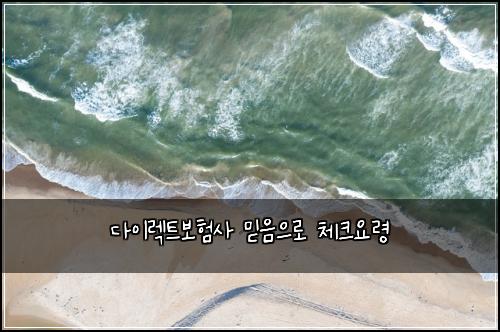 다이렉트보험사 믿음으로 체크요령