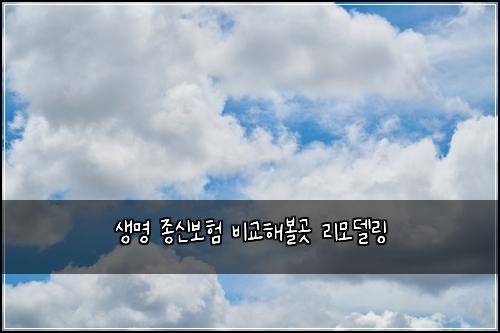 생명 종신보험 비교해볼곳  리모델링