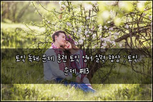 토익 독해 문제 훈련 토익 영어 실력 향상 : 토익 문제 #113
