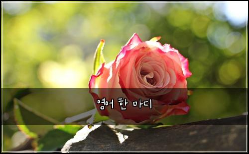 영어 한 마디