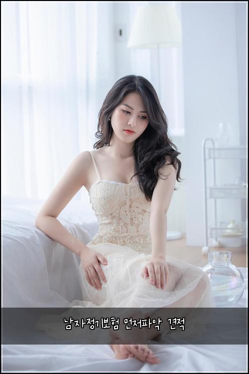 남자정기보험 먼저파악  견적