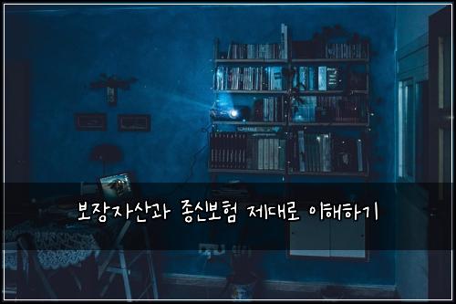 보장자산과 종신보험 제대로 이해하기