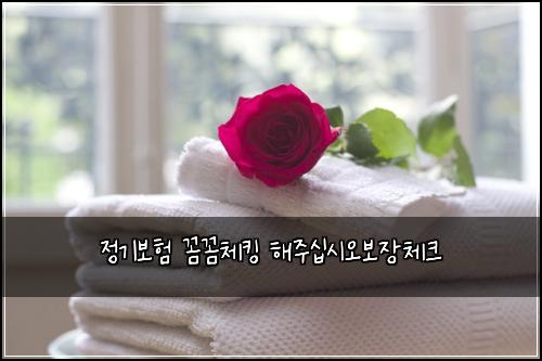 정기보험 꼼꼼체킹  해주십시오보장체크