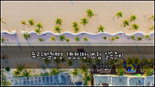 푸르덴셜생명 경영인정기보험 실속준비 