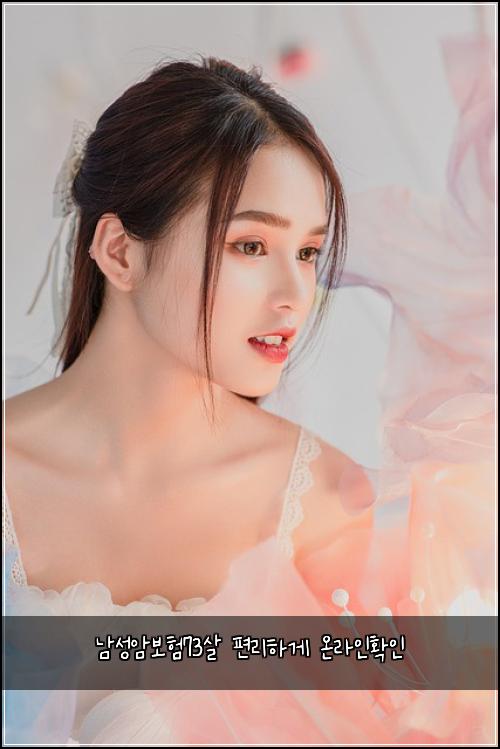 남성암보험73살 편리하게 온라인확인