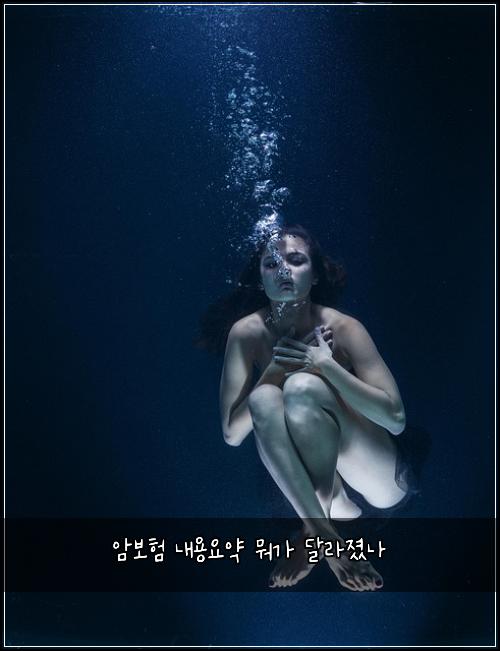 μ보ν λ΄μ©μμ½ λκ° λ¬λΌμ‘λ