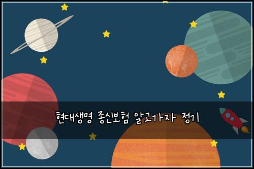 현대생명 종신보험 알고가자  정기