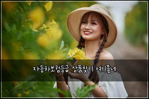 자동차보험등급 상품찾기 여기좋네
