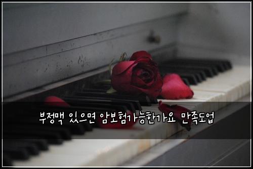 부정맥 있으면 암보험가능한가요 만족도업