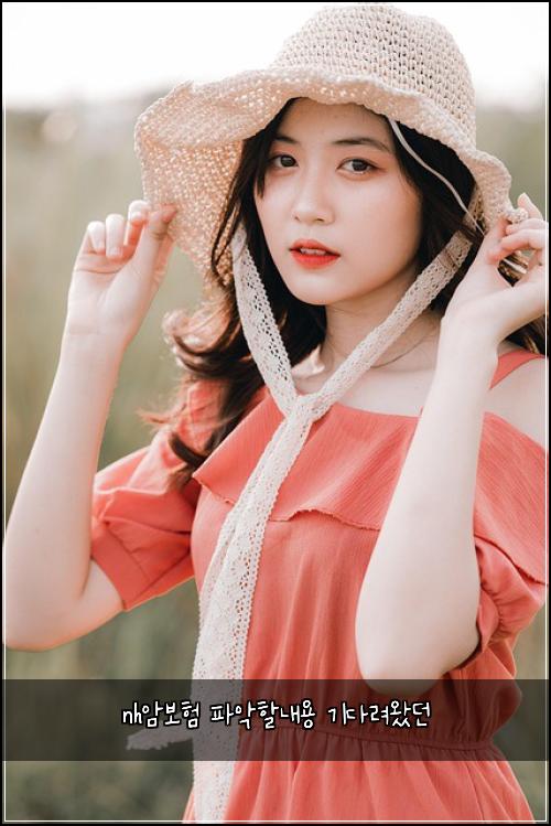 nh암보험 파악할내용  기다려왔던