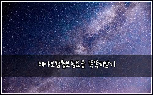 태아보험월보험료을 똑똑히받기