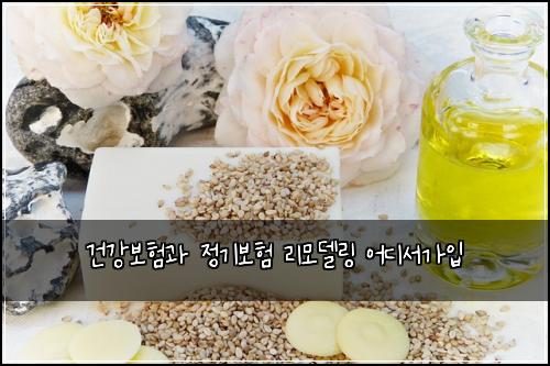건강보험과 정기보험 리모델링 어디서가입