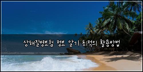 상해질병보험 정보 알기  최적의 활용방법