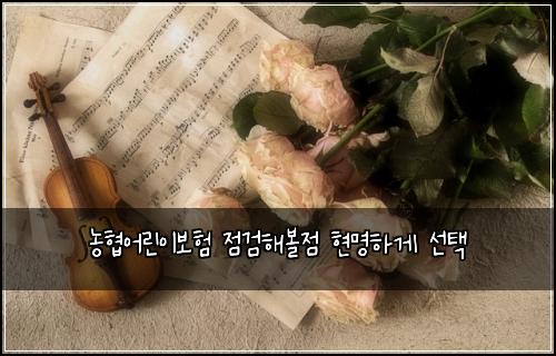 농협어린이보험 점검해볼점  현명하게 선택
