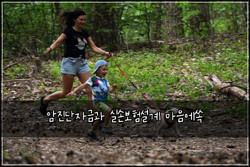 암진단자금과 실손보험설계 마음에쏙