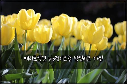 메리츠생명 vip정기보험 방법비교  가입