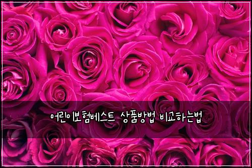 어린이보험베스트 상품방법 비교하는법