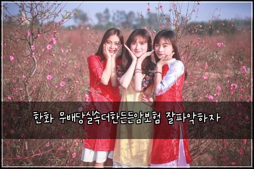 한화 무배당실속더한든든암보험 잘파악하자 