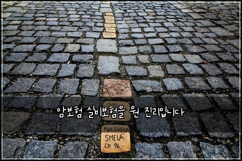 ์๋ณดํ ์ค๋น๋ณดํ์ ์ ์ง๋ฆฌ์
๋๋ค