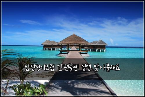 남성정기보험 간편플랜  설명 알아볼래요