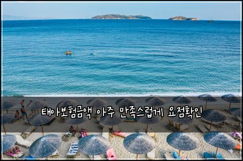 태아보험금액 아주 만족스럽게 요점확인
