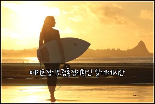 메리츠정기보험총정리확인 설계예시안