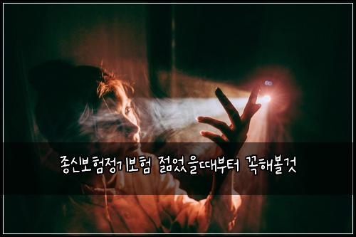 종신보험정기보험 젊었을때부터 꼭해볼것