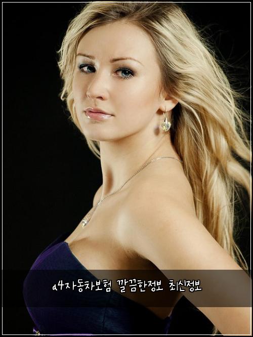 a4자동차보험 깔끔한정보  최신정보