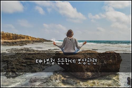 ํ์๋ณดํ ๋ ๋ ํ๋ฐ ๋ณด์๊ด๋ จ