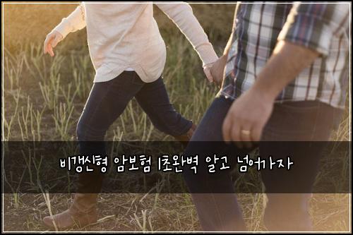 비갱신형 암보험 1초완벽  알고 넘어가자